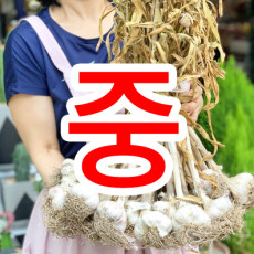 [의성형제농원]2024년산 마늘 의성마늘[중] 3kg