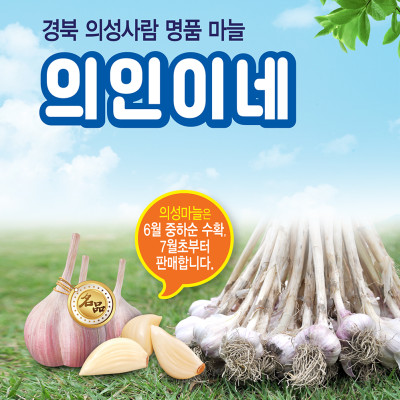 [의인이네]의성 마늘 3kg(3.5cm~4cm)